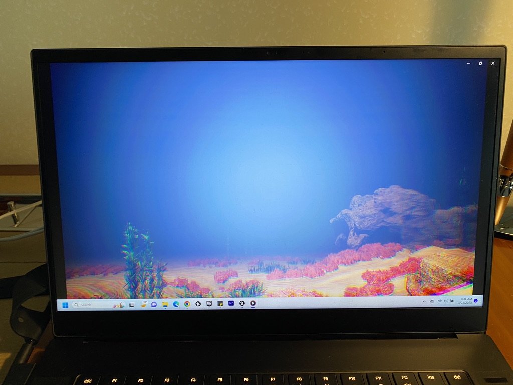 The underwater coral environment open on a laptop