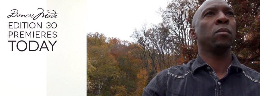 Boris Willis looking upward in an autumn landscape